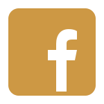 icone facebook